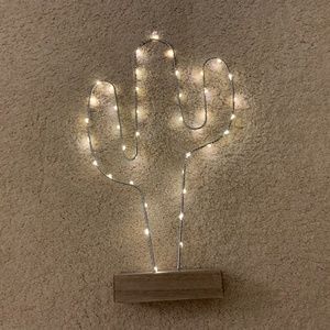 Cactus light and pillow set